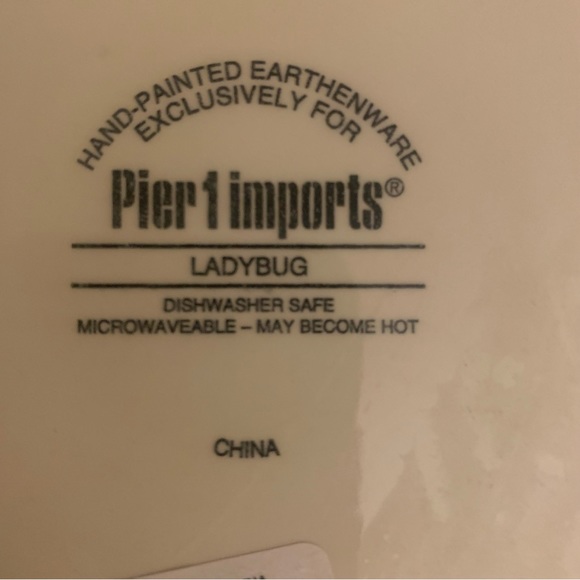 Set/2 NWT Pier 1 Imports Ladybug Hand Painted Salad Dessert Plates 8.5" - Picture 5 of 6
